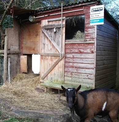 Photo: The shed