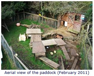 Photo: The paddock, February 2011