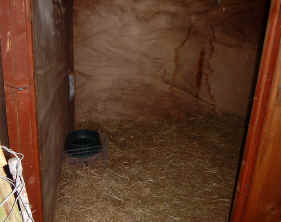 Photo: Entrance to the shed