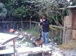 Photo: Me with Henry in the paddock (November 2010)