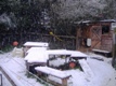 Photo: The paddock (November 2010)