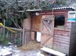 Photo: The paddock (November 2010)
