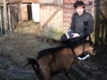 Photo: Literacy Hour with Henry (February 2011)