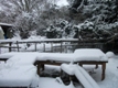 Photo: The paddock in the snow (February 2012)