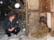 Photo: Henry sheltering from the snow (February 2012)